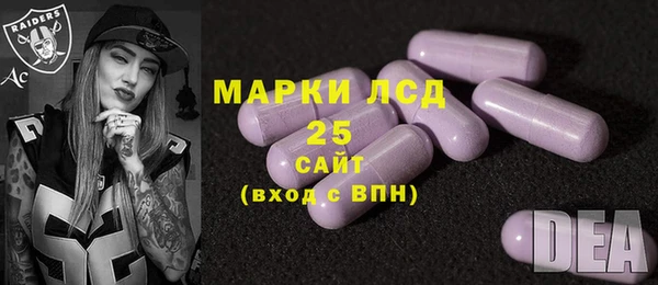 прущие грибы Армянск