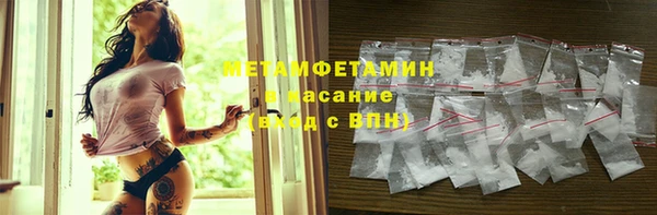 прущие грибы Армянск