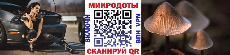 купить наркотики цена  Островной  Галлюциногенные грибы MAGIC MUSHROOMS 